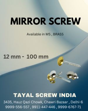 Mirror Screw